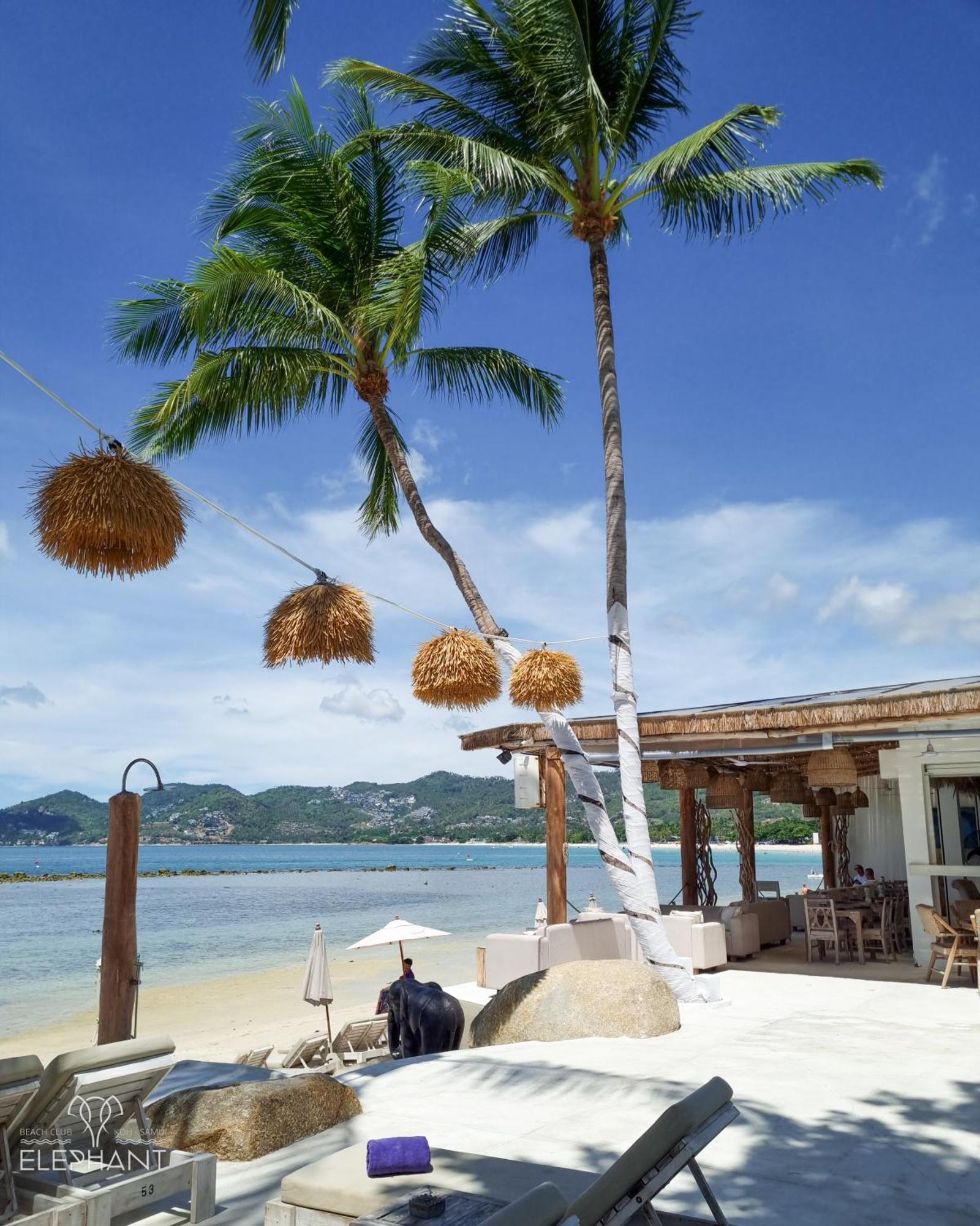 Elephant Beach Club & Resort Samui Chaweng Plajı Dış mekan fotoğraf